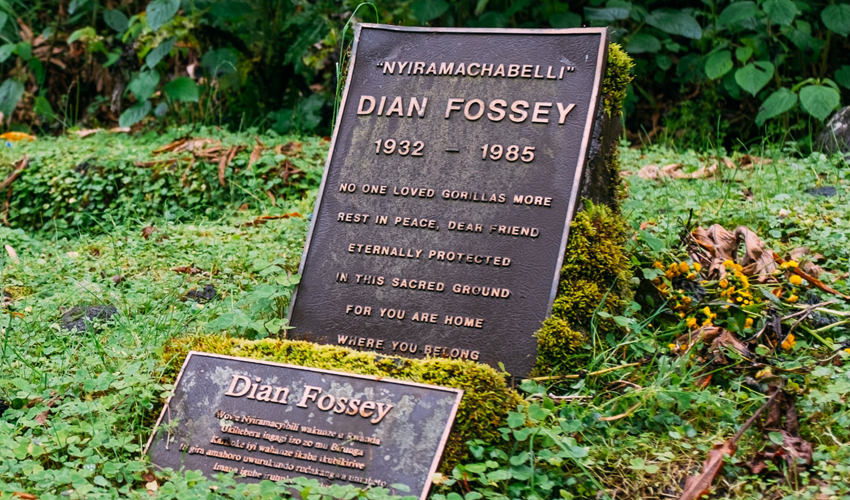 Hiking to the Dian Fossey tomb in Rwanda