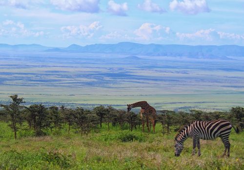 4 Days Serengeti, Tarangire and Ngorongoro Tour